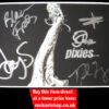 PIXIES AUTOGRAPHED Beneath the Eyrie