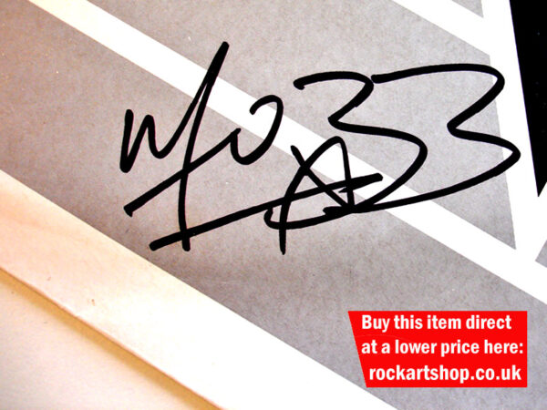 POP WILL EAT ITSELF SIGNED Fuzz Townshend