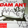 Adam Ant Autograph