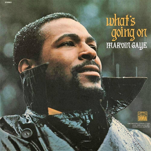 Marvin Gaye What's Going On New Vinyl LP