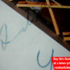 Andy Bown Autograph